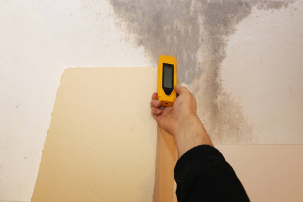 Best Residential Mold Inspection & Testing  in Port Jefferson, NY