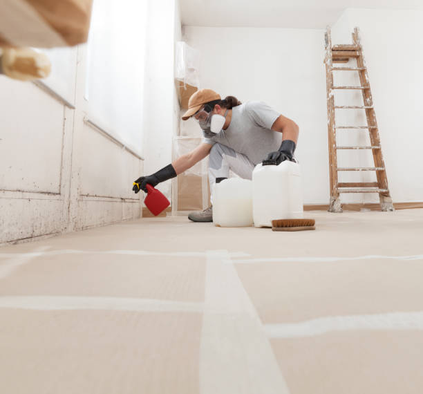 Best Water Damage & Mold Remediation  in Port Jefferson, NY
